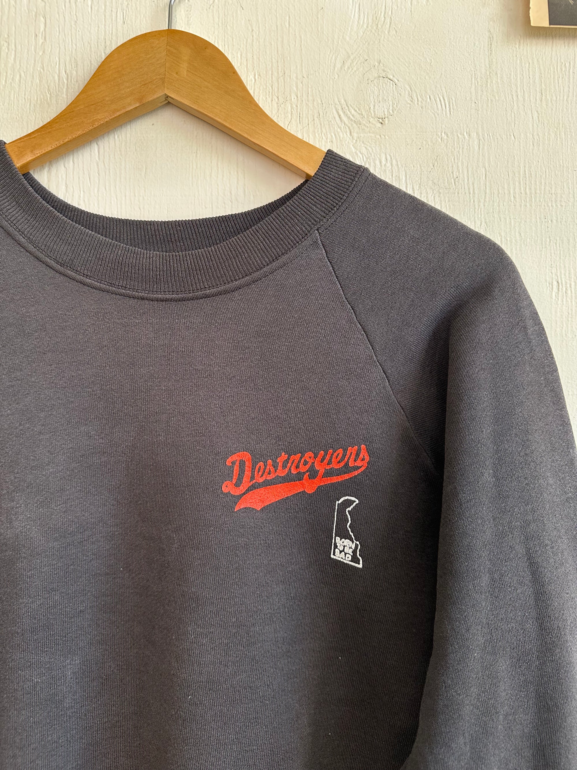 1990s Sunfaded Destroyers Born To Be Bad Crewneck