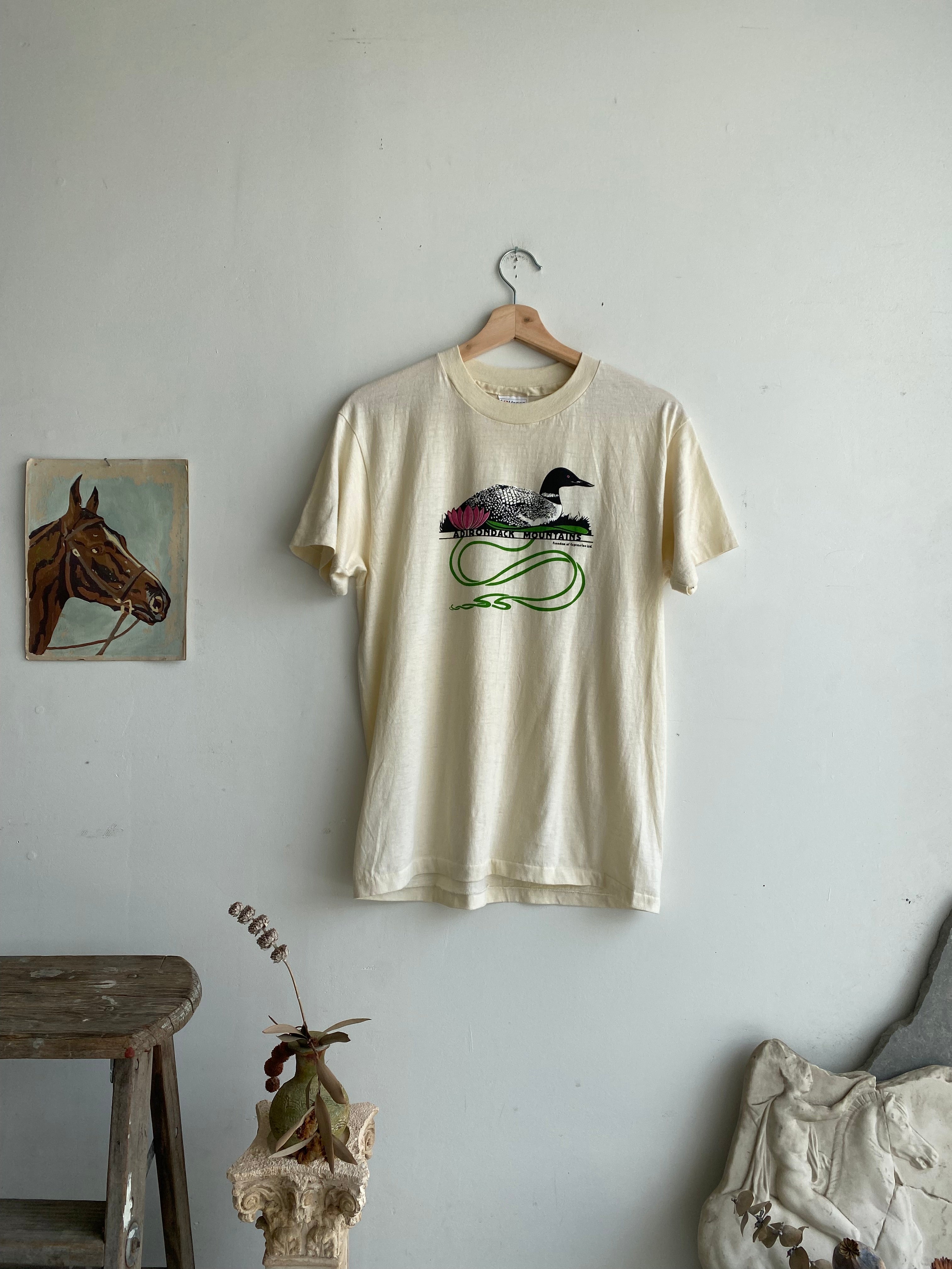1970s Adirondack Mountains T-Shirt (M)