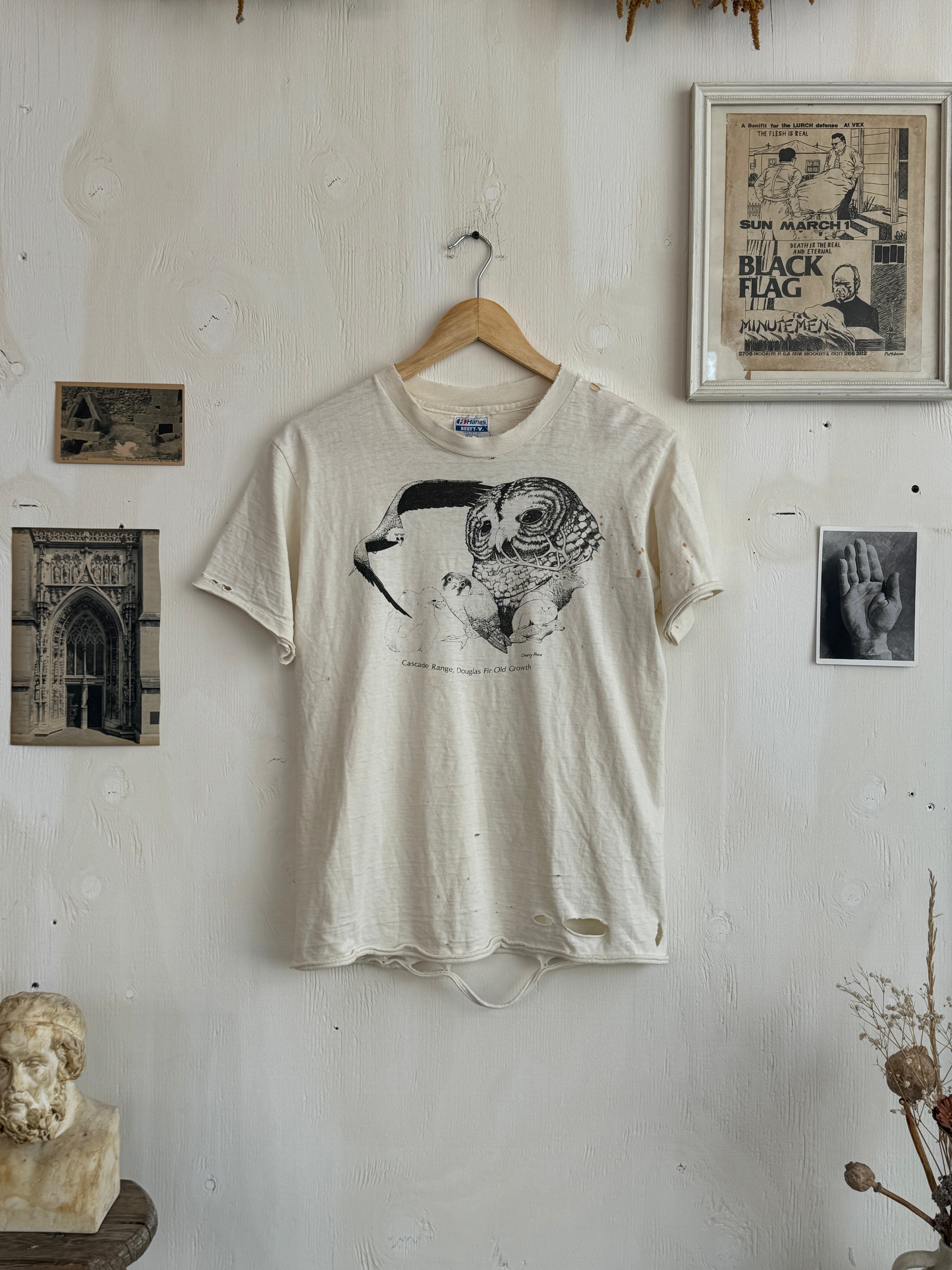 Thrashed Cascade Range Tee (M)