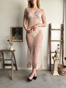 1990s Sheer Champagne Embroidered Lace Dress (S)