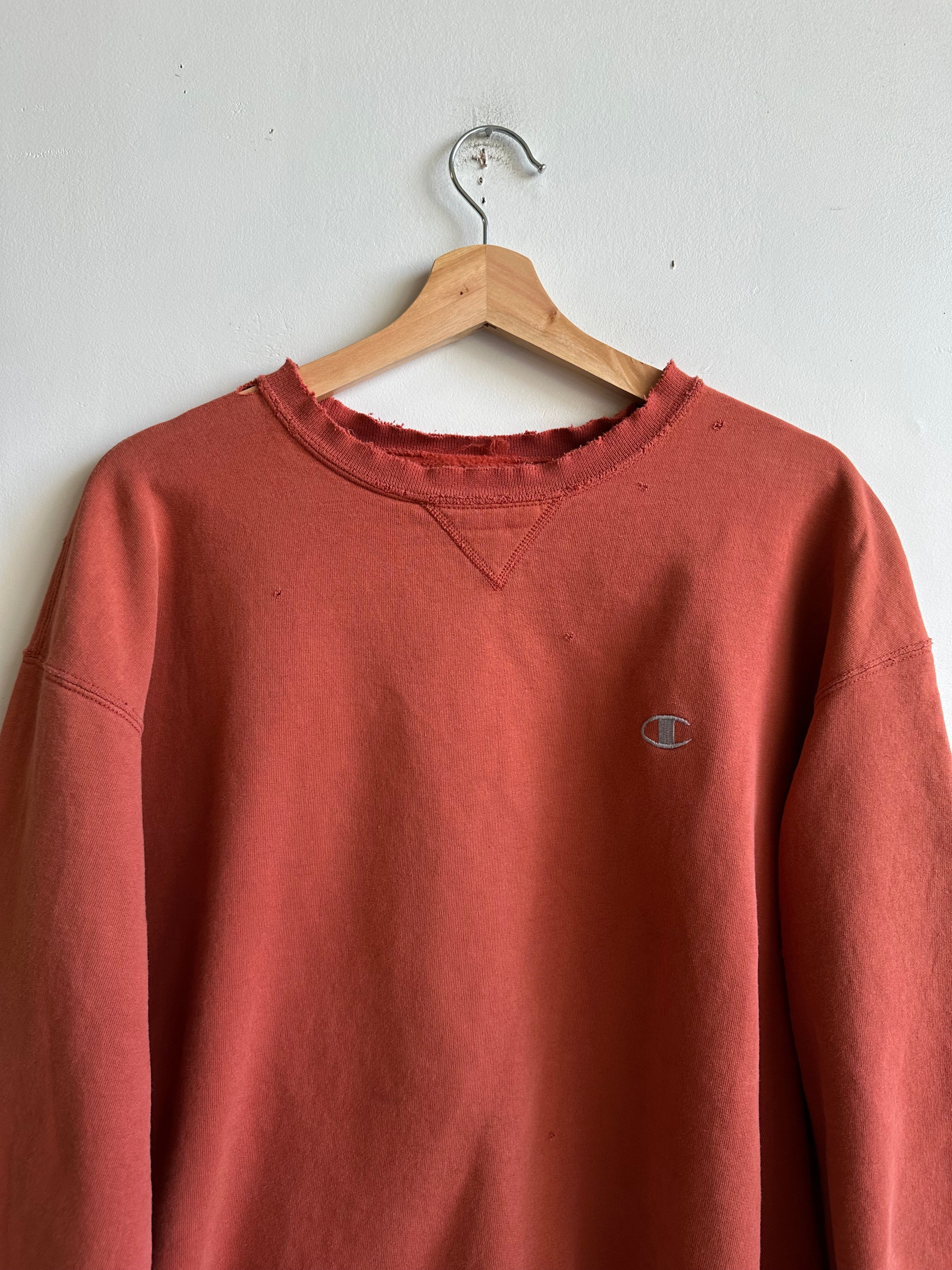 1990s Well-Worn Champion Sweatshirt (Boxy M/L)