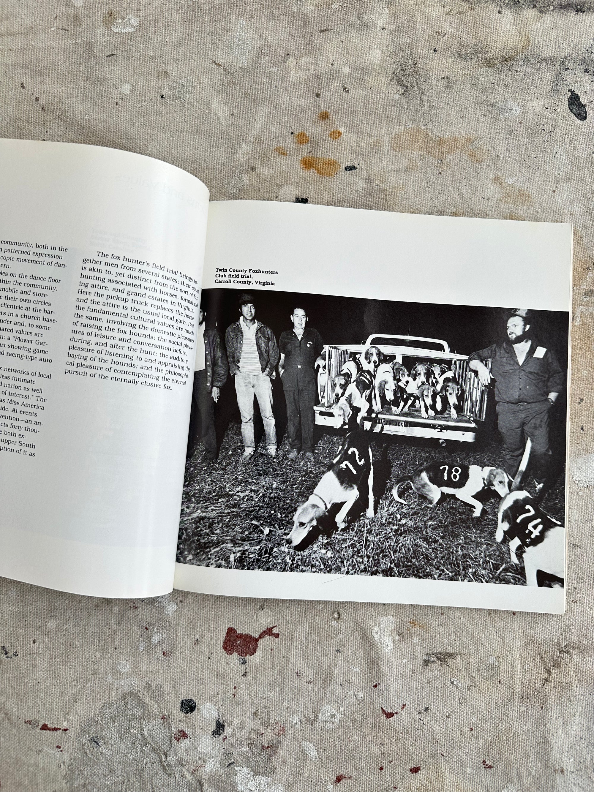 Blue Ridge Harvest: A Region's Folklife in Photographs