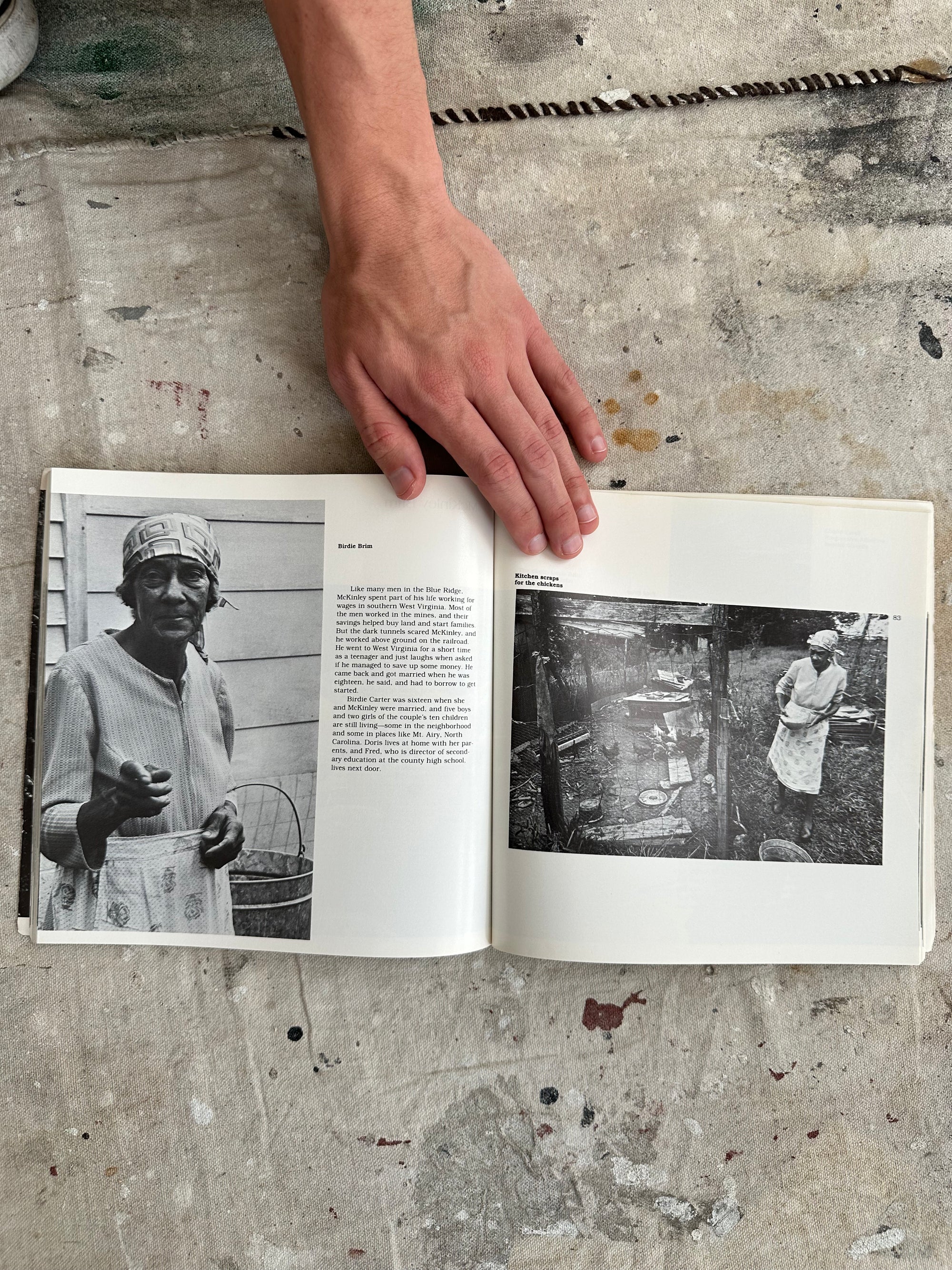 Blue Ridge Harvest: A Region's Folklife in Photographs