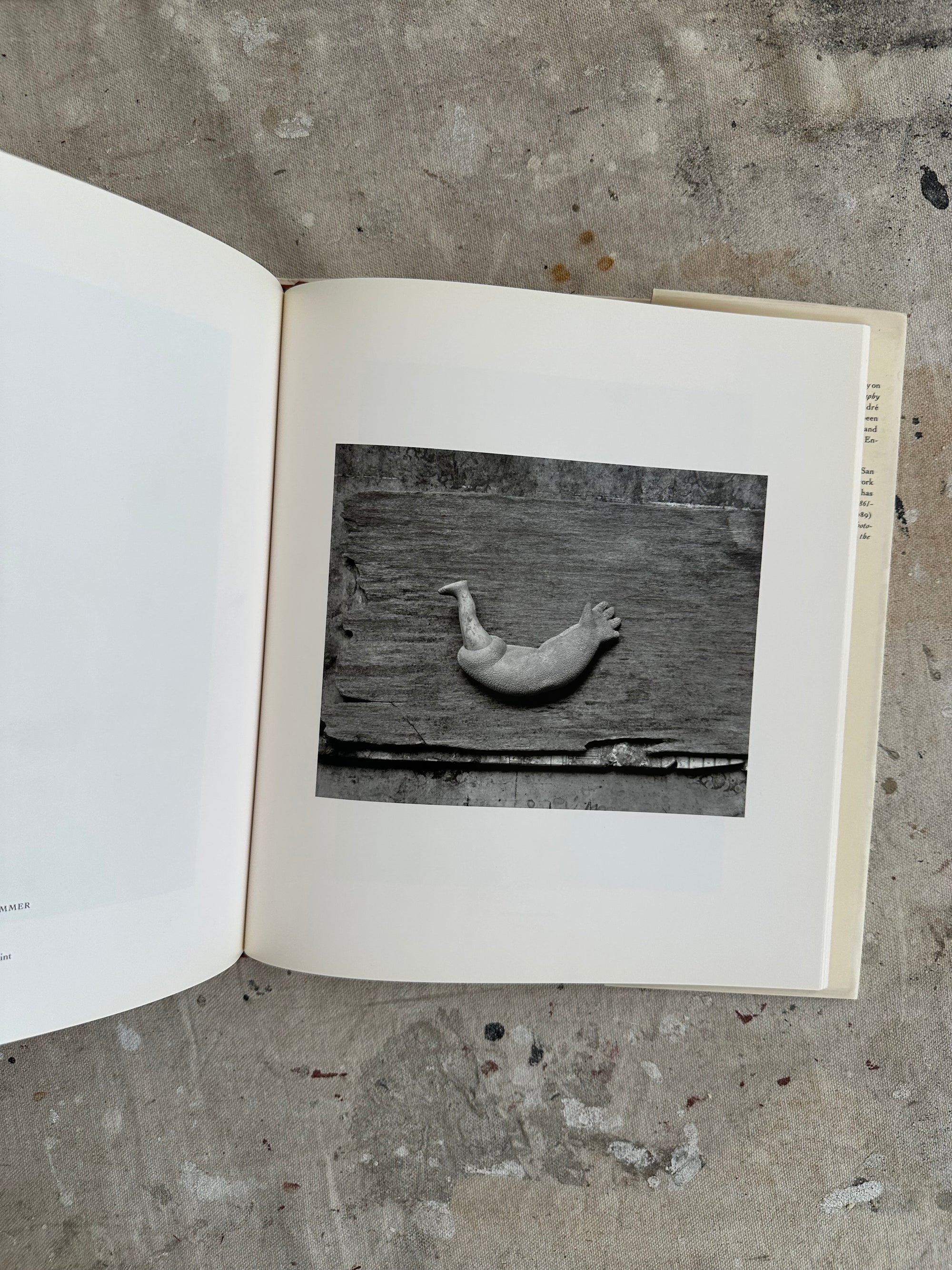 The Kiss of Apollo: Photography and Sculpture, 1845 to the Present