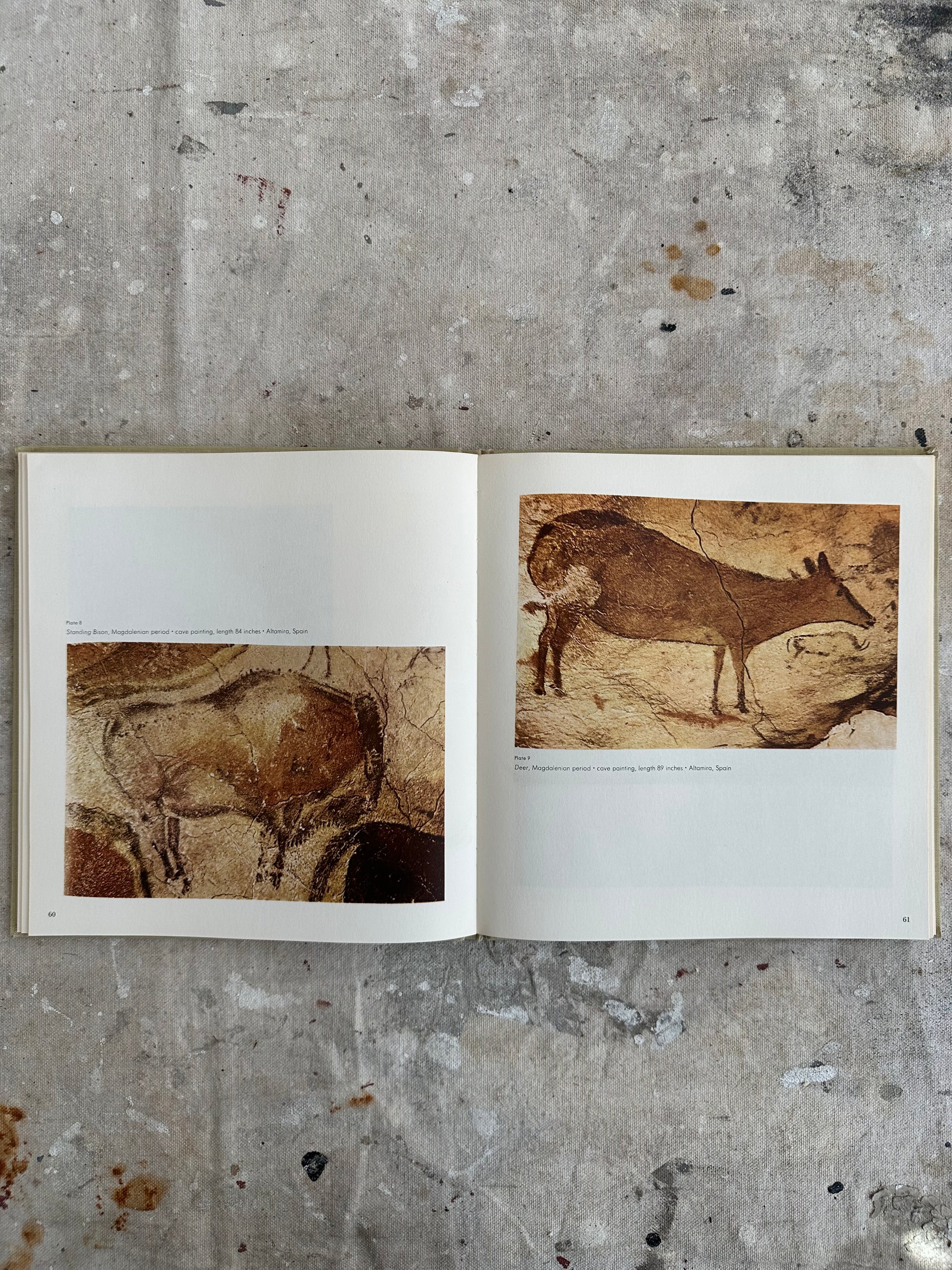 Drawings of the Masters: Cave to Renaissance