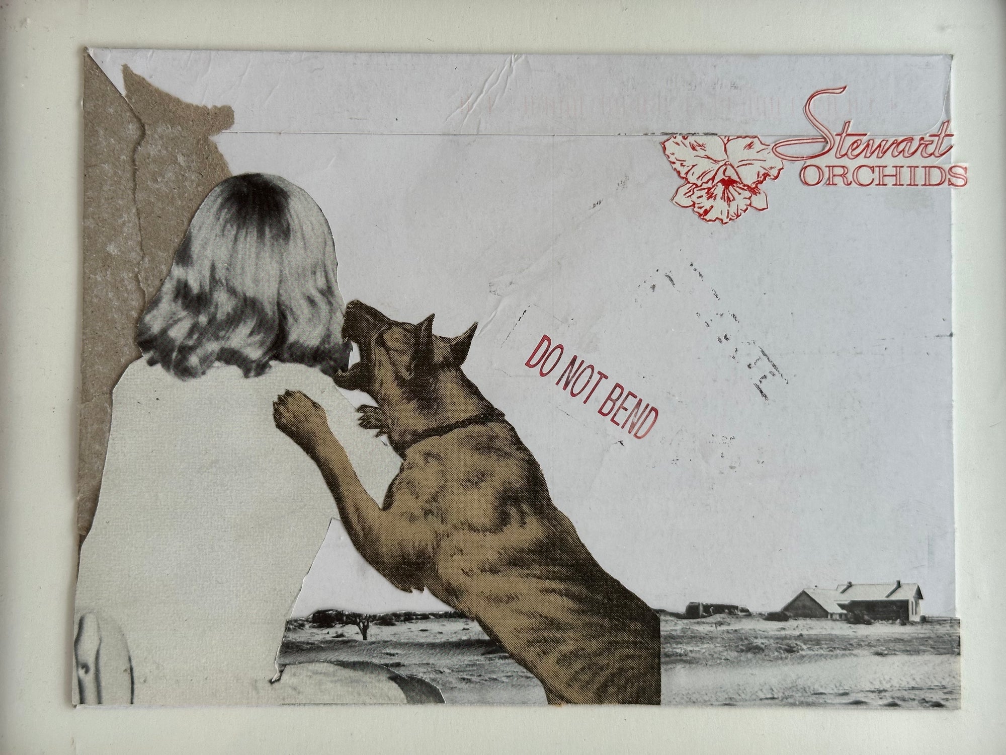 "Bend" a Collage