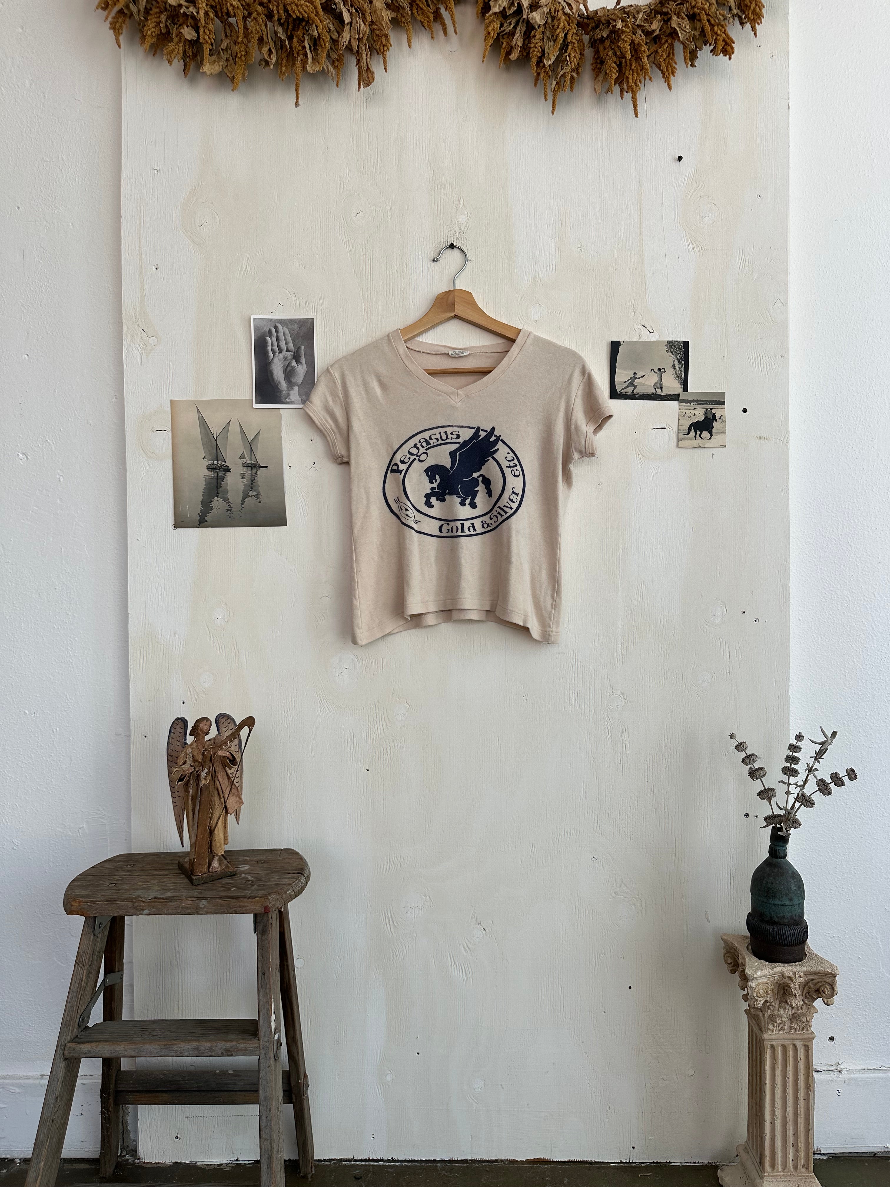 1970s Pegasus Pawn Shop Tee (Boxy S)