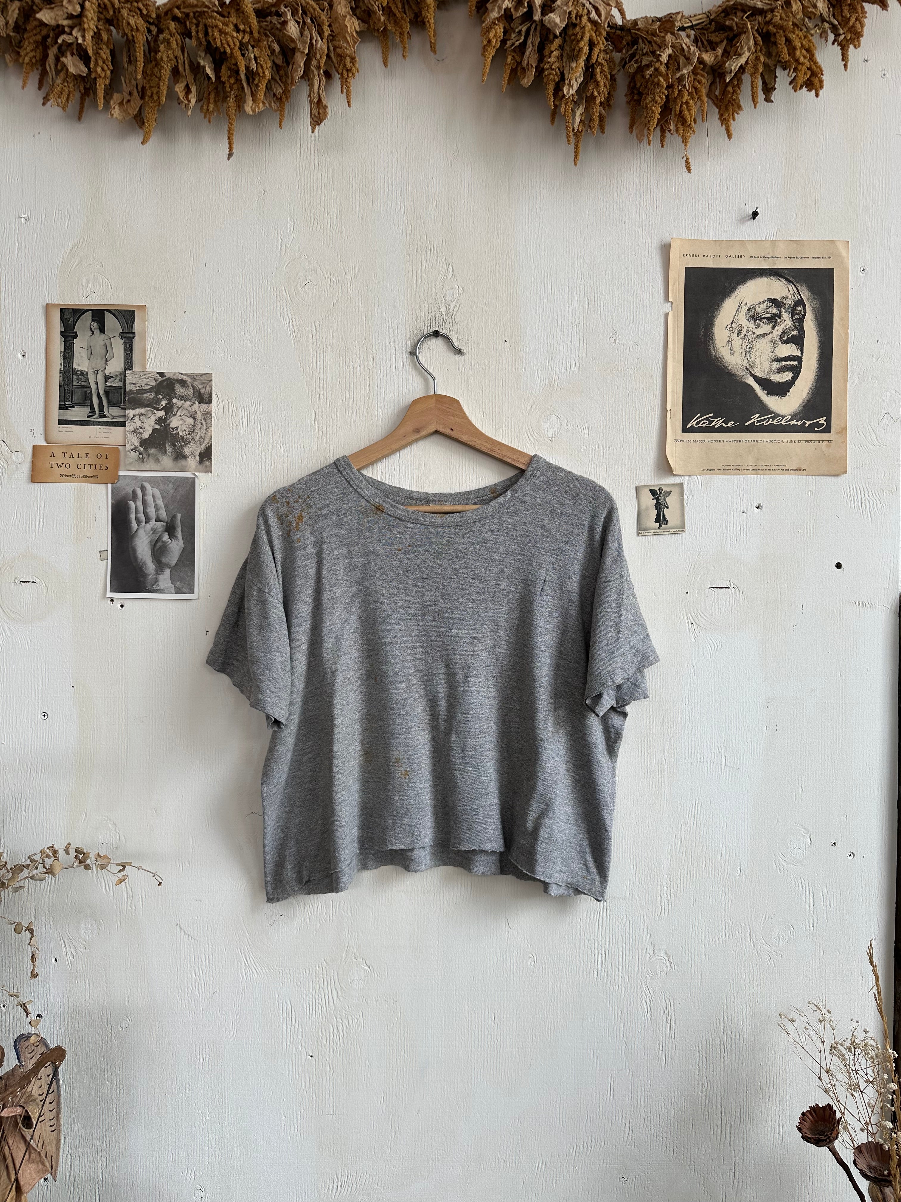 1970s Cropped Champion “Bluebar” Blank (Boxy XS/S)