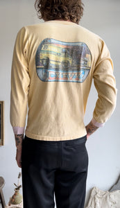 1970s Faded Chevy Long Sleeve (M)