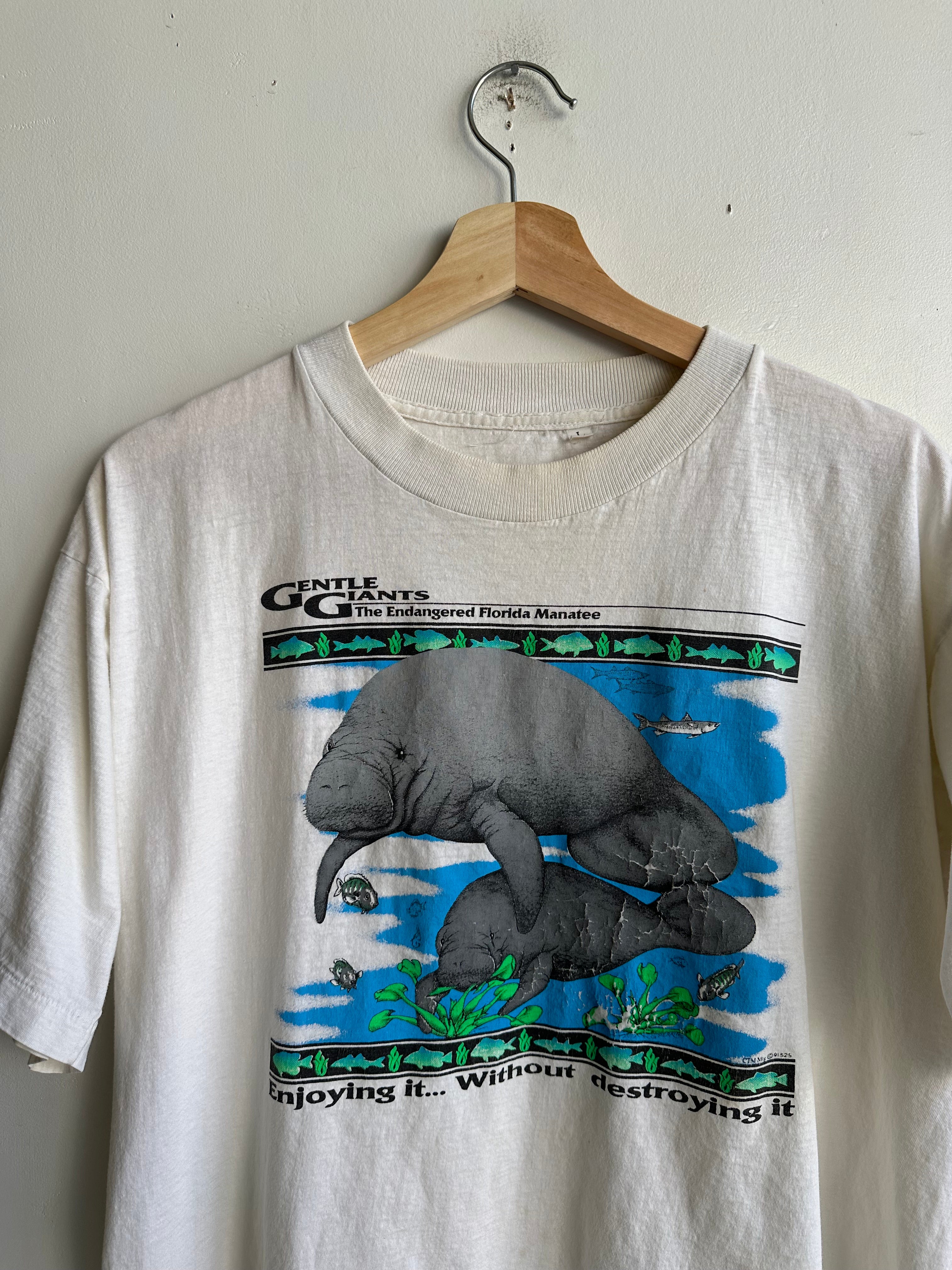 1990s Gentle Giants Tee (XL)