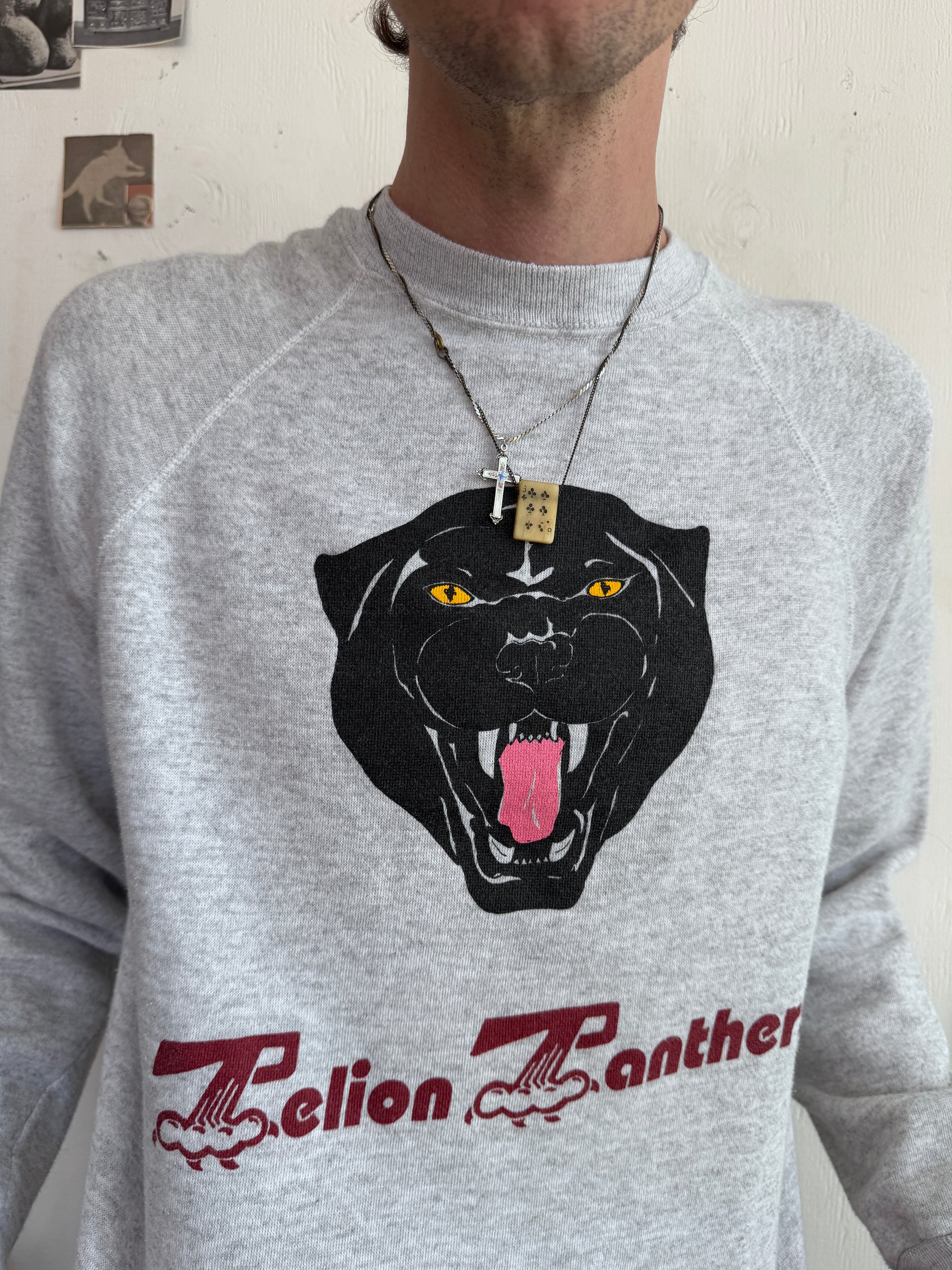 1980s Pelion Panthers Sweatshirt (L)