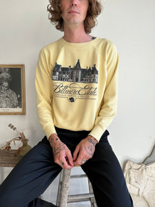 1980s Biltmore Estate Sweatshirt (Boxy S/M)