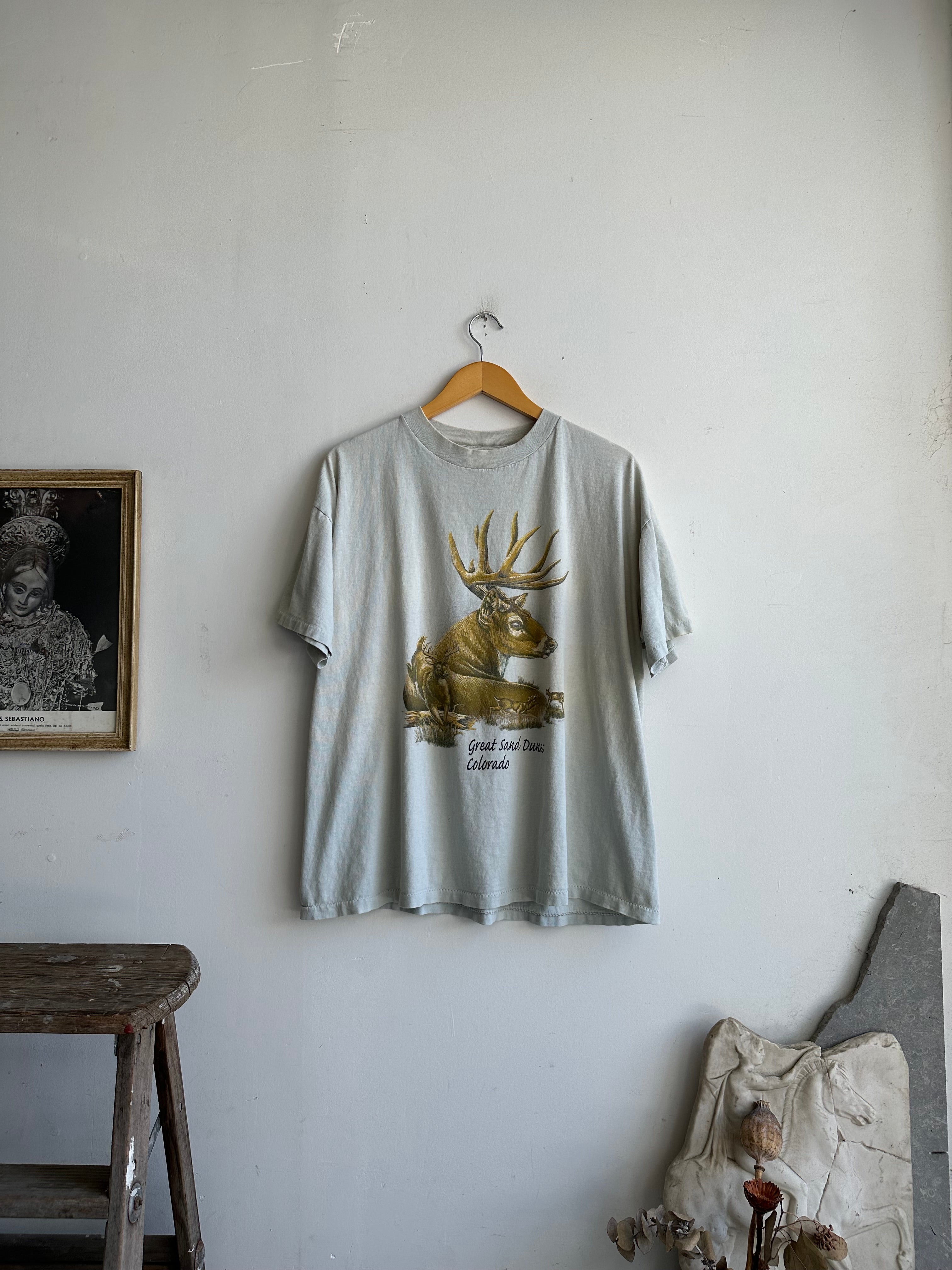 1980s Great Sand Dunes Tee (Boxy L/XL)