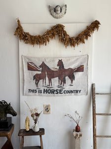 "This is Horse Country" Wool Rug/Tapestry (40" x 24")
