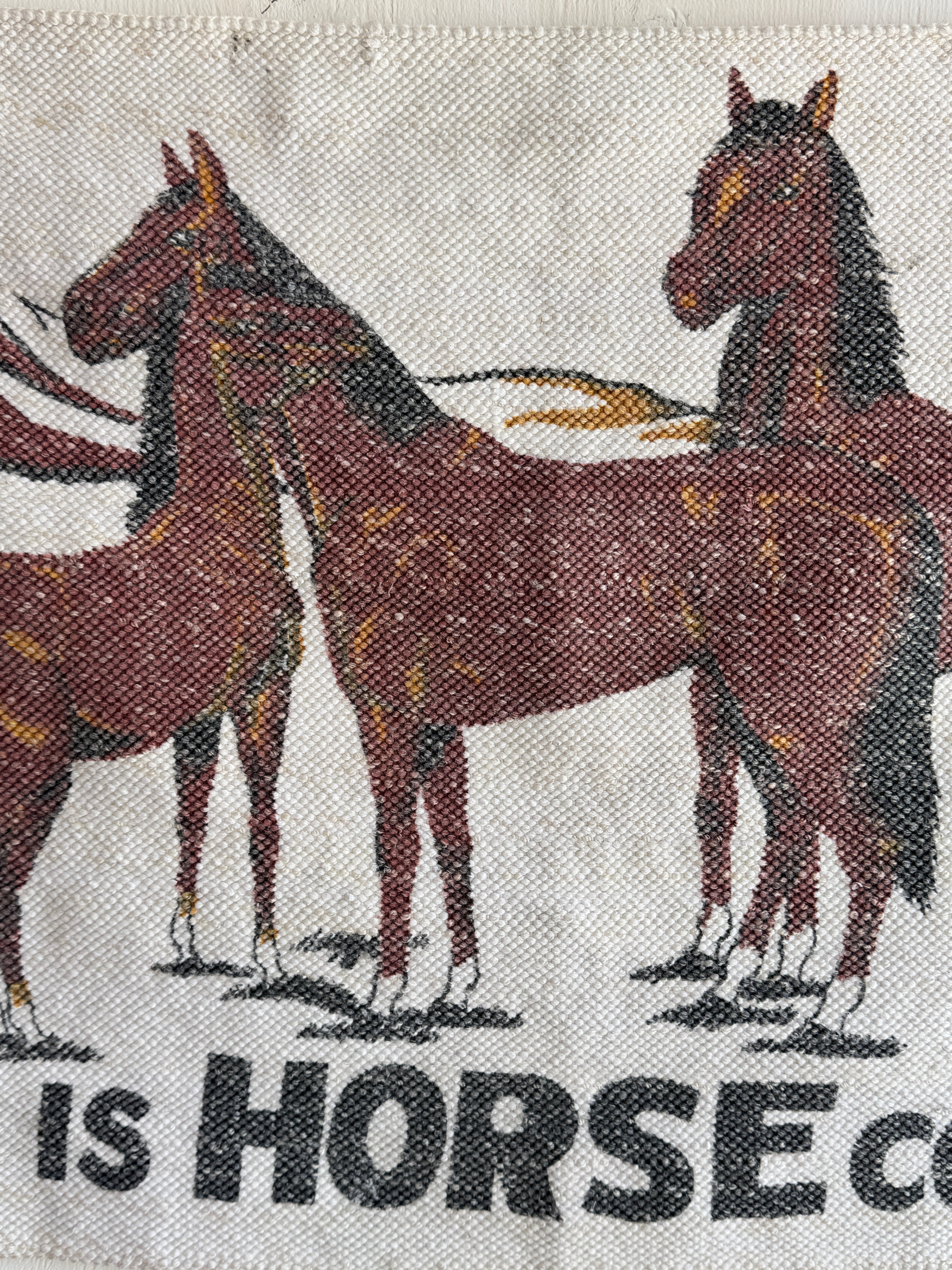 "This is Horse Country" Wool Rug/Tapestry (40" x 24")