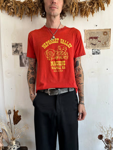 1980s Paper Thin Thrashed N. Valley T-Shirt (M)