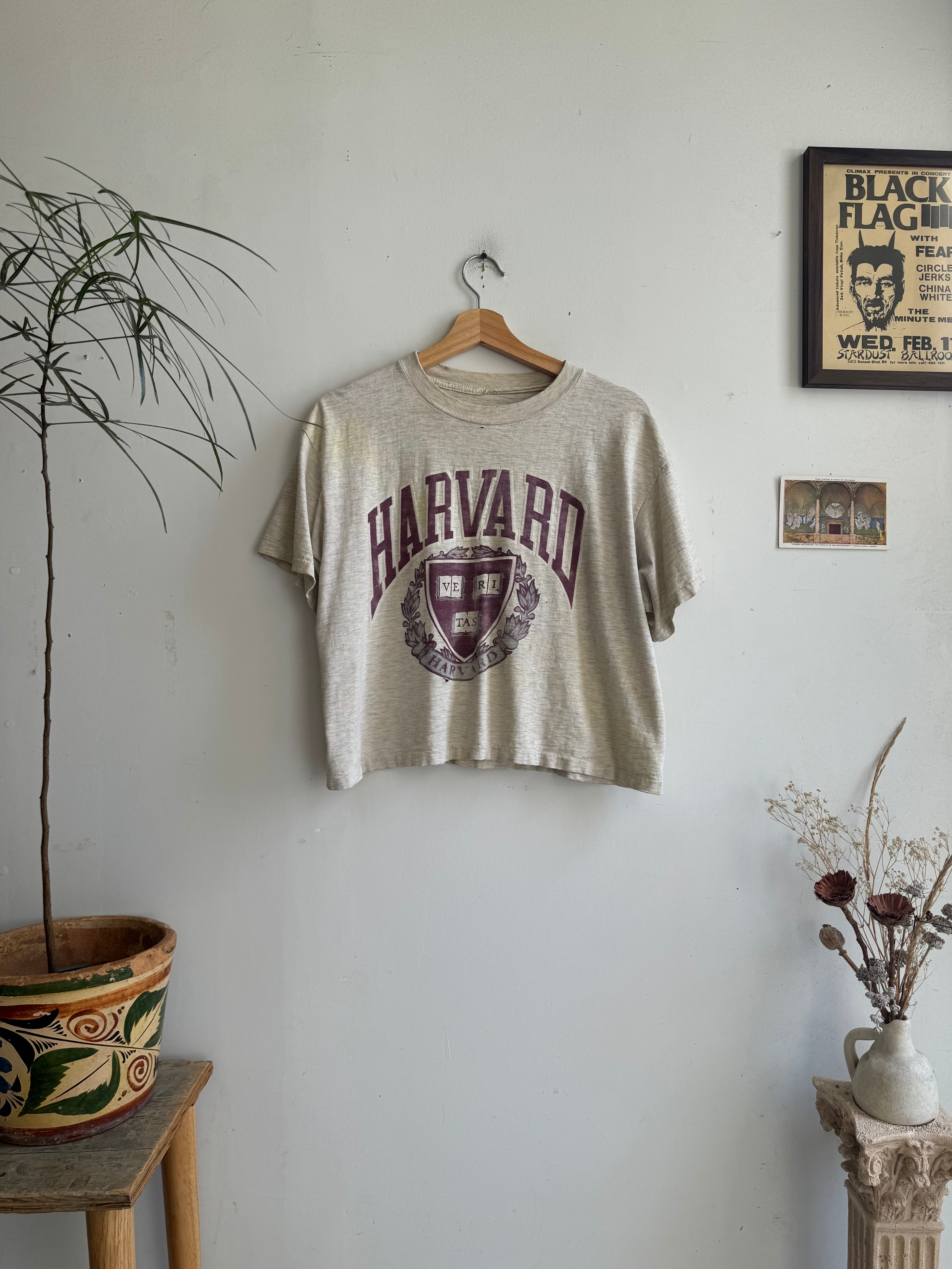 1980s Faded Harvard Tee (Boxy/Cropped S)