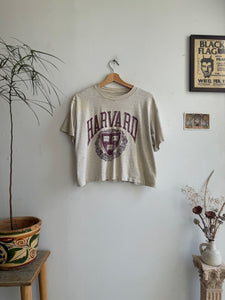 1980s Faded Harvard Tee (Boxy/Cropped S)
