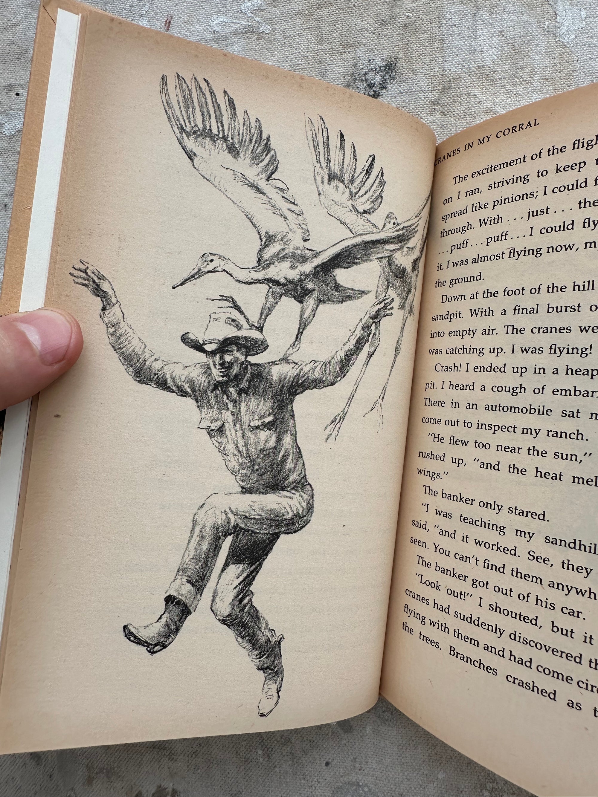 1971 Cranes in My Corral