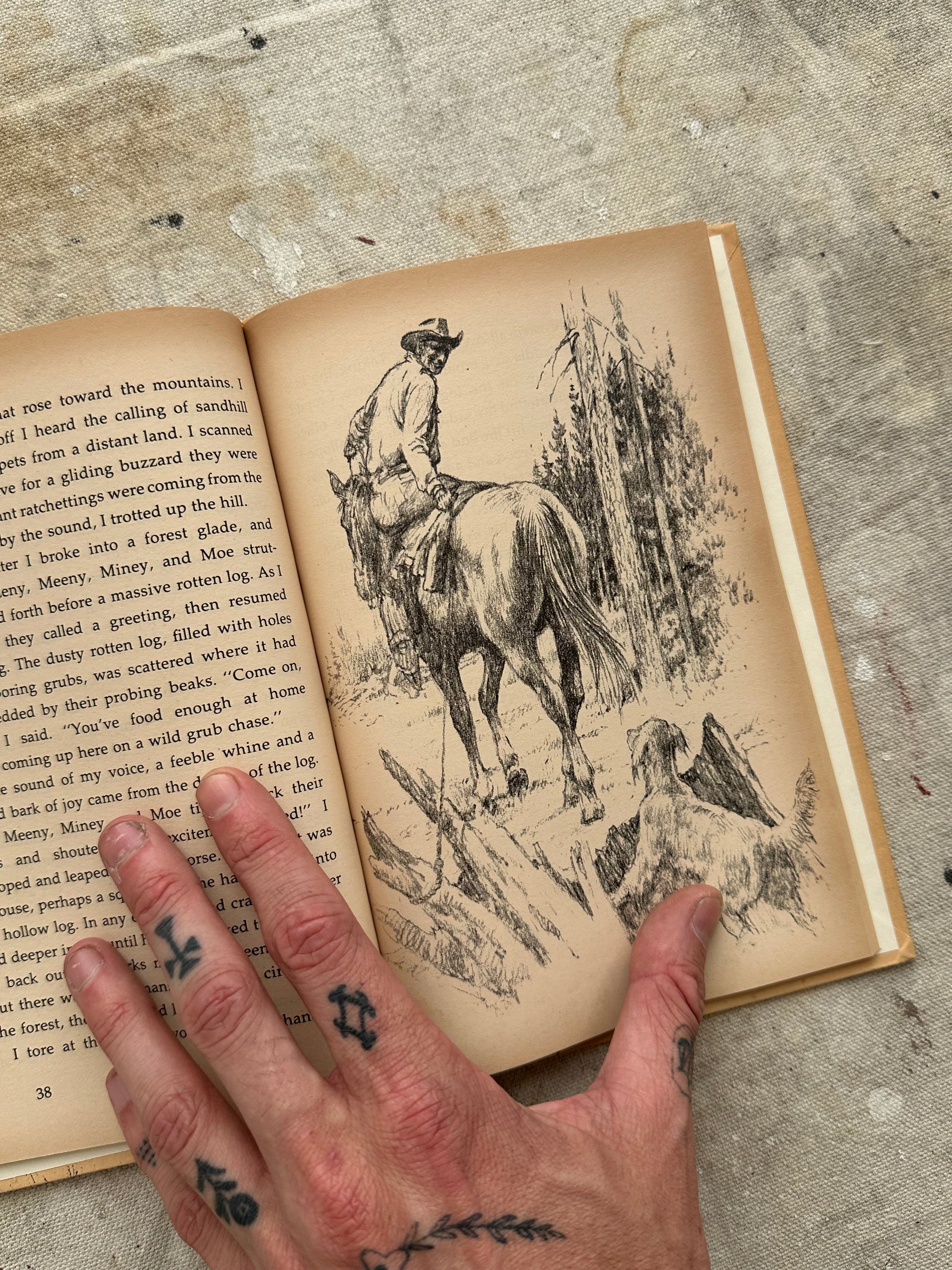 1971 Cranes in My Corral