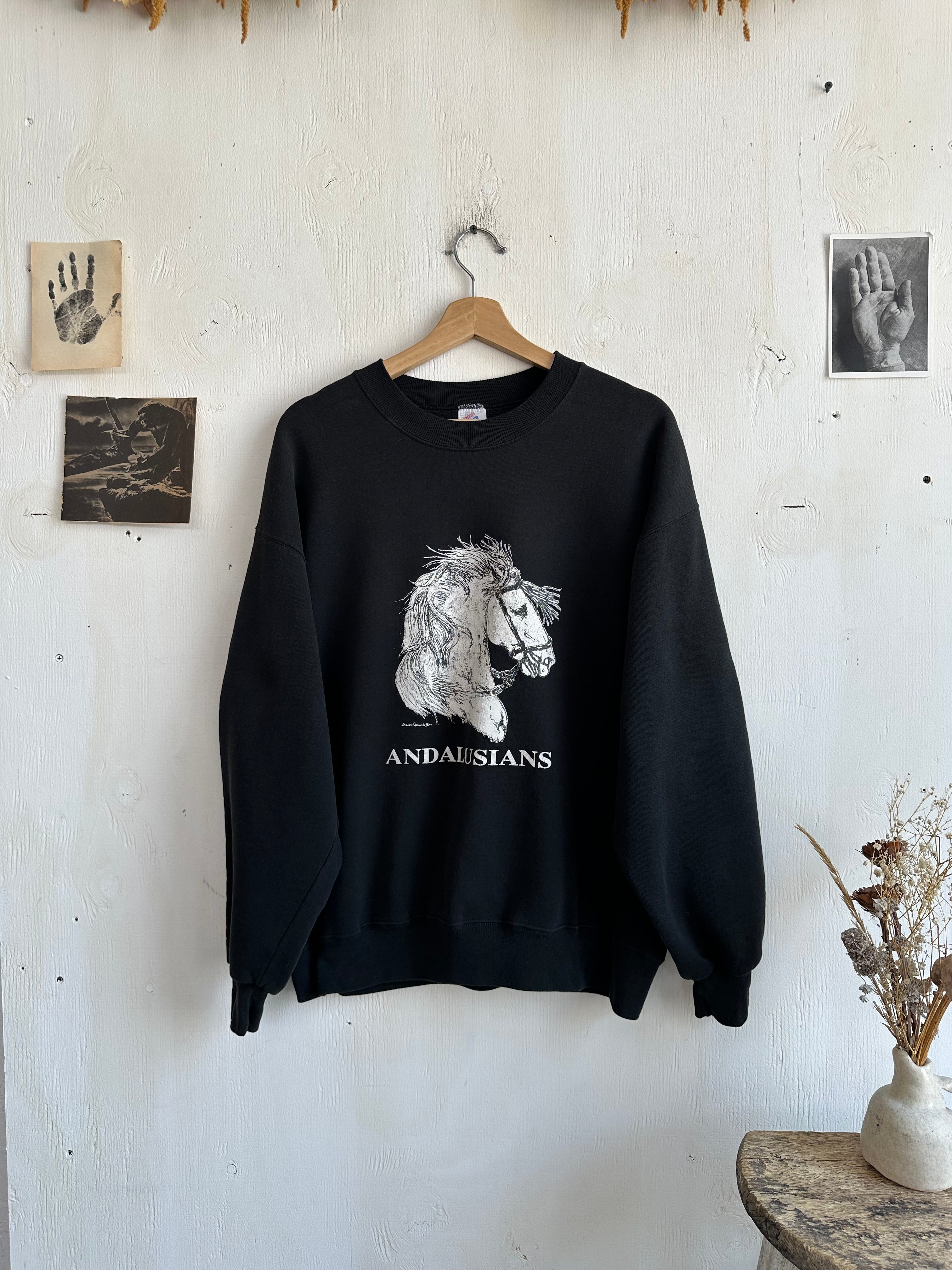 1990s Andalusian Sweatshirt (Boxy L)
