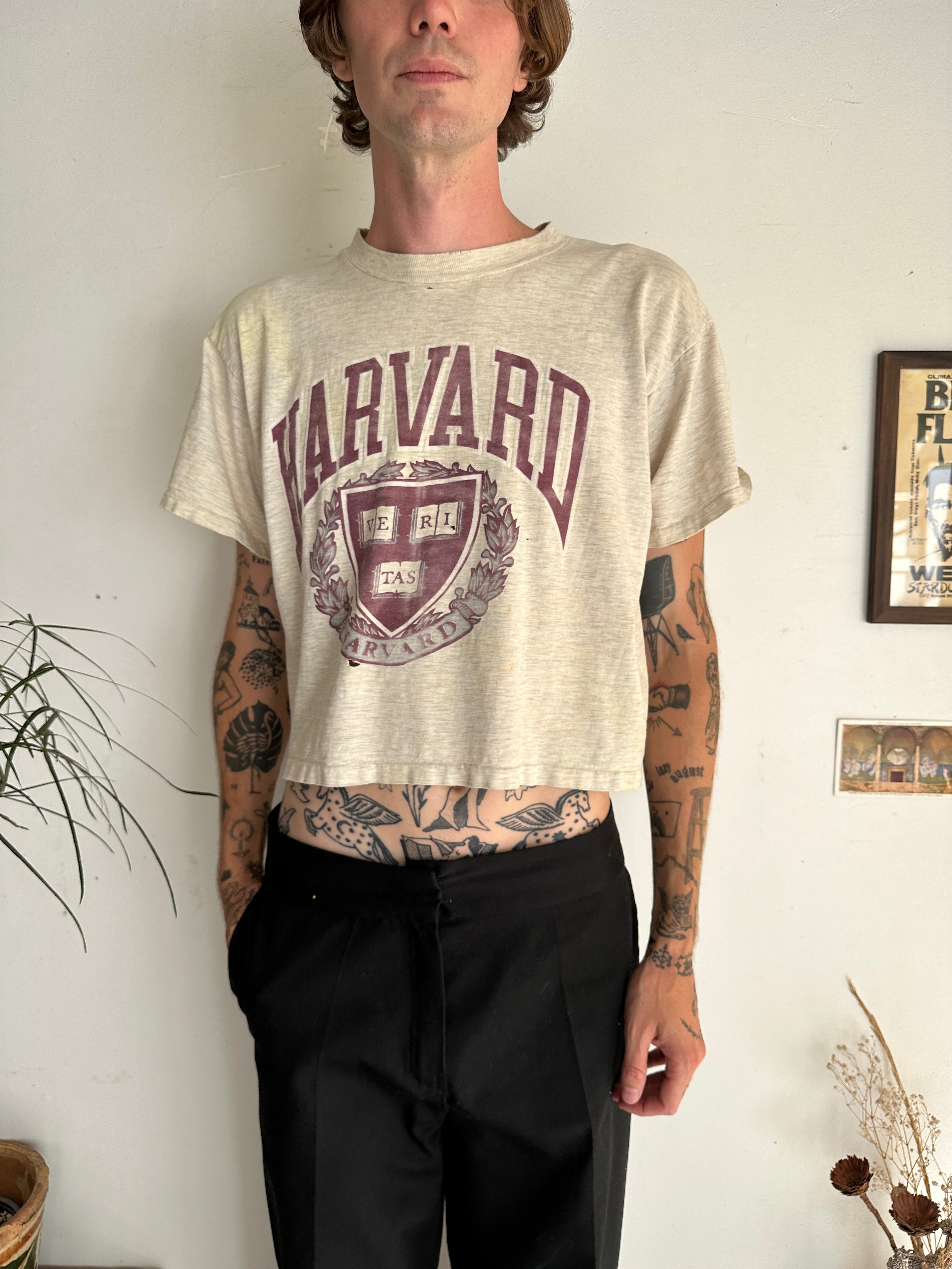 1980s Faded Harvard Tee (Boxy/Cropped S)