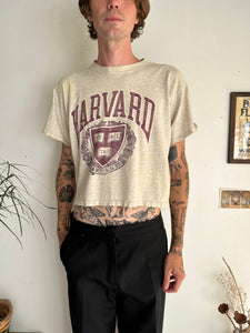 1980s Faded Harvard Tee (Boxy/Cropped S)