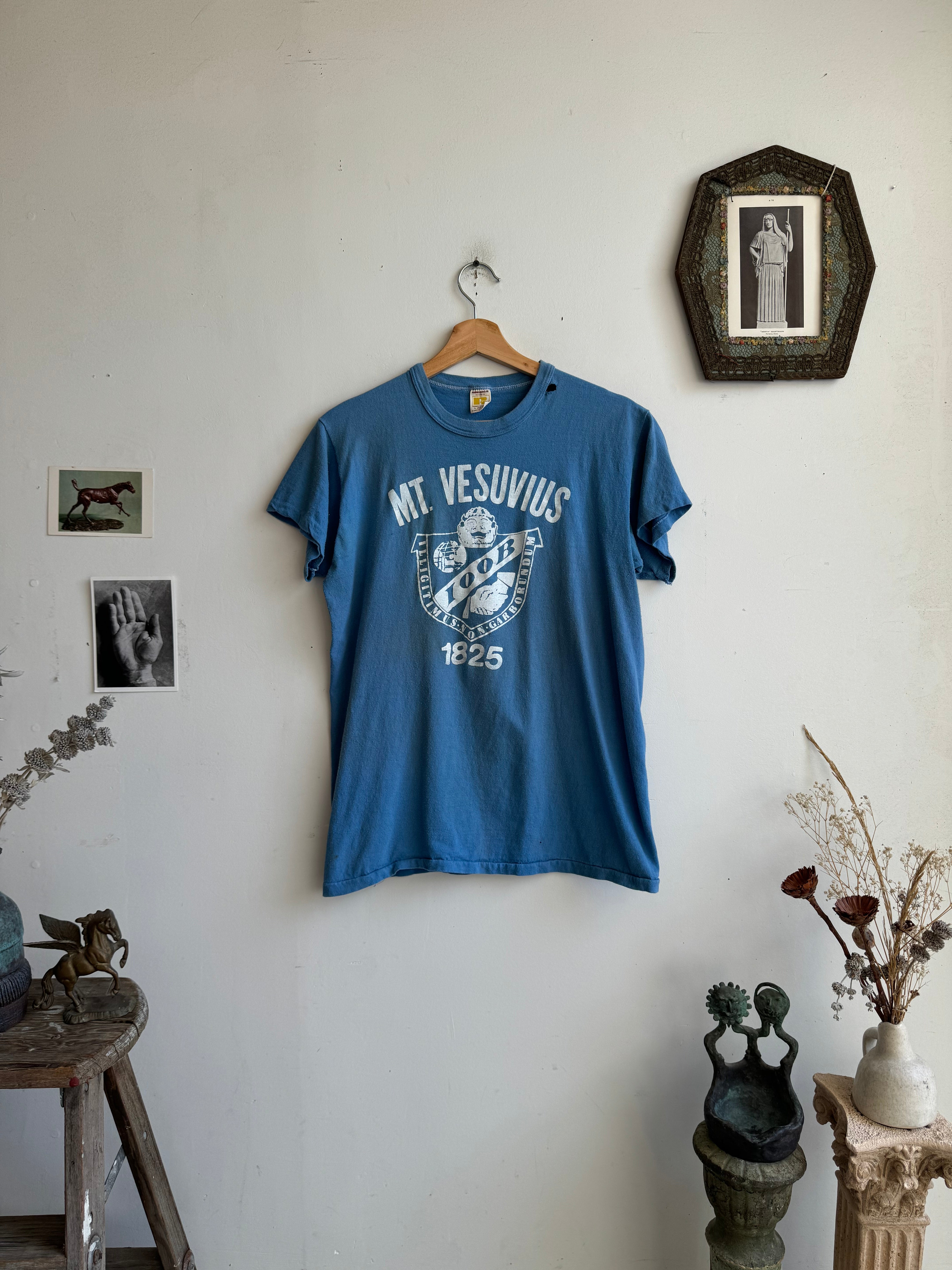 1970s Mt. Vesuvius T-Shirt (M)