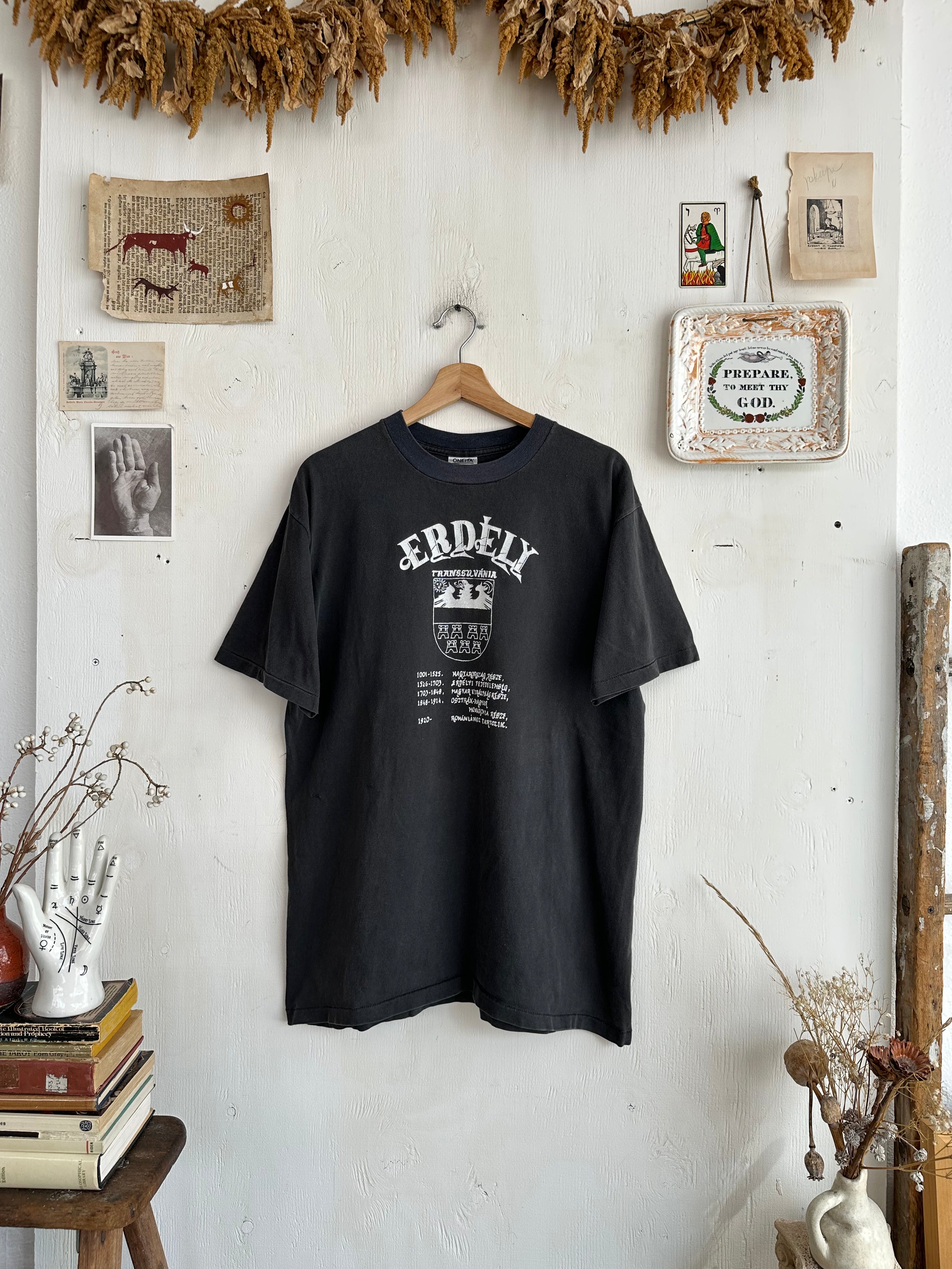 1990s Faded Transylvania Tee (XL)