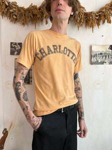 1980s Charlotte Tee (M)