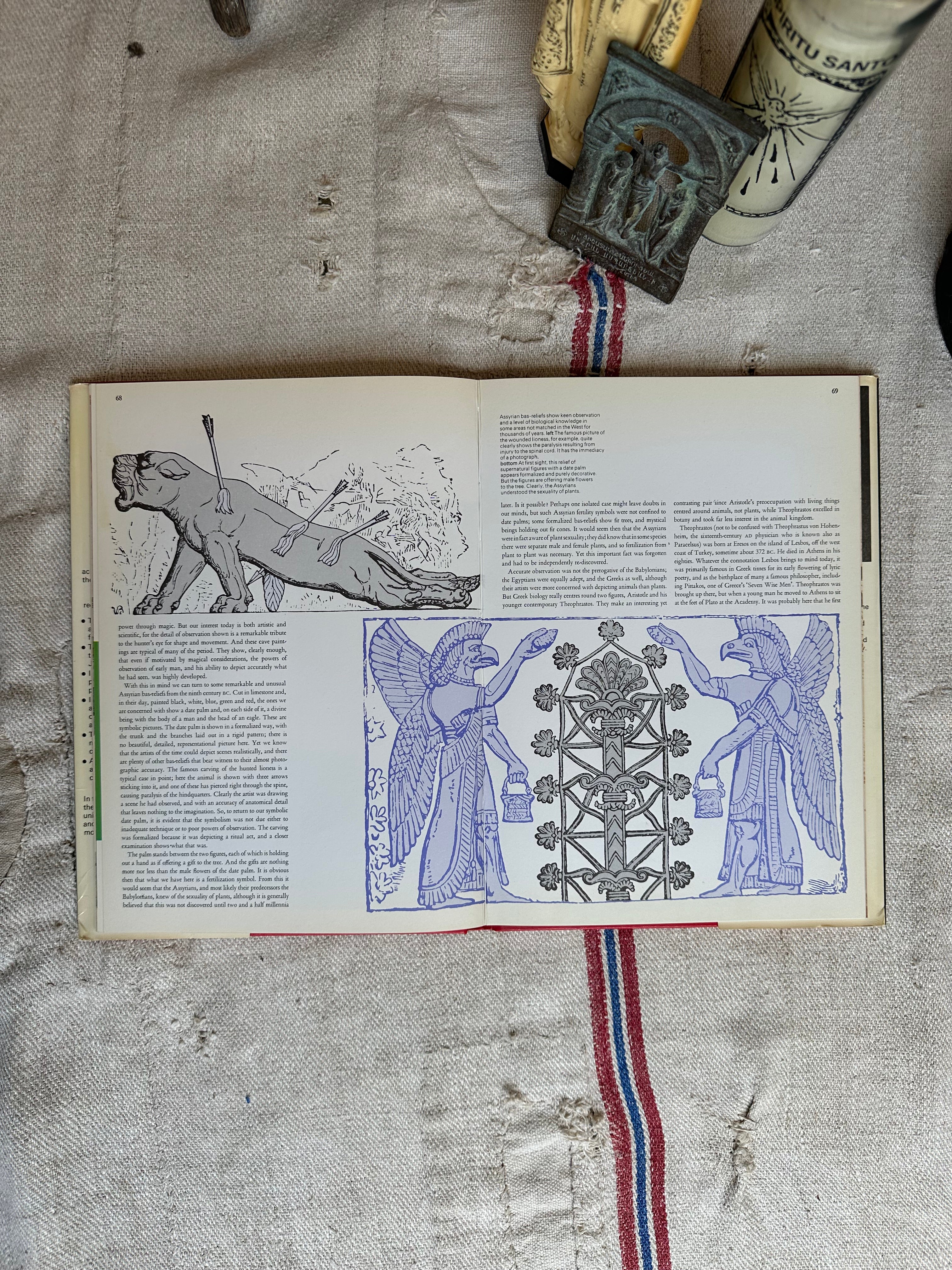 Lost Discoveries: The Forgotten Science of the Ancient World