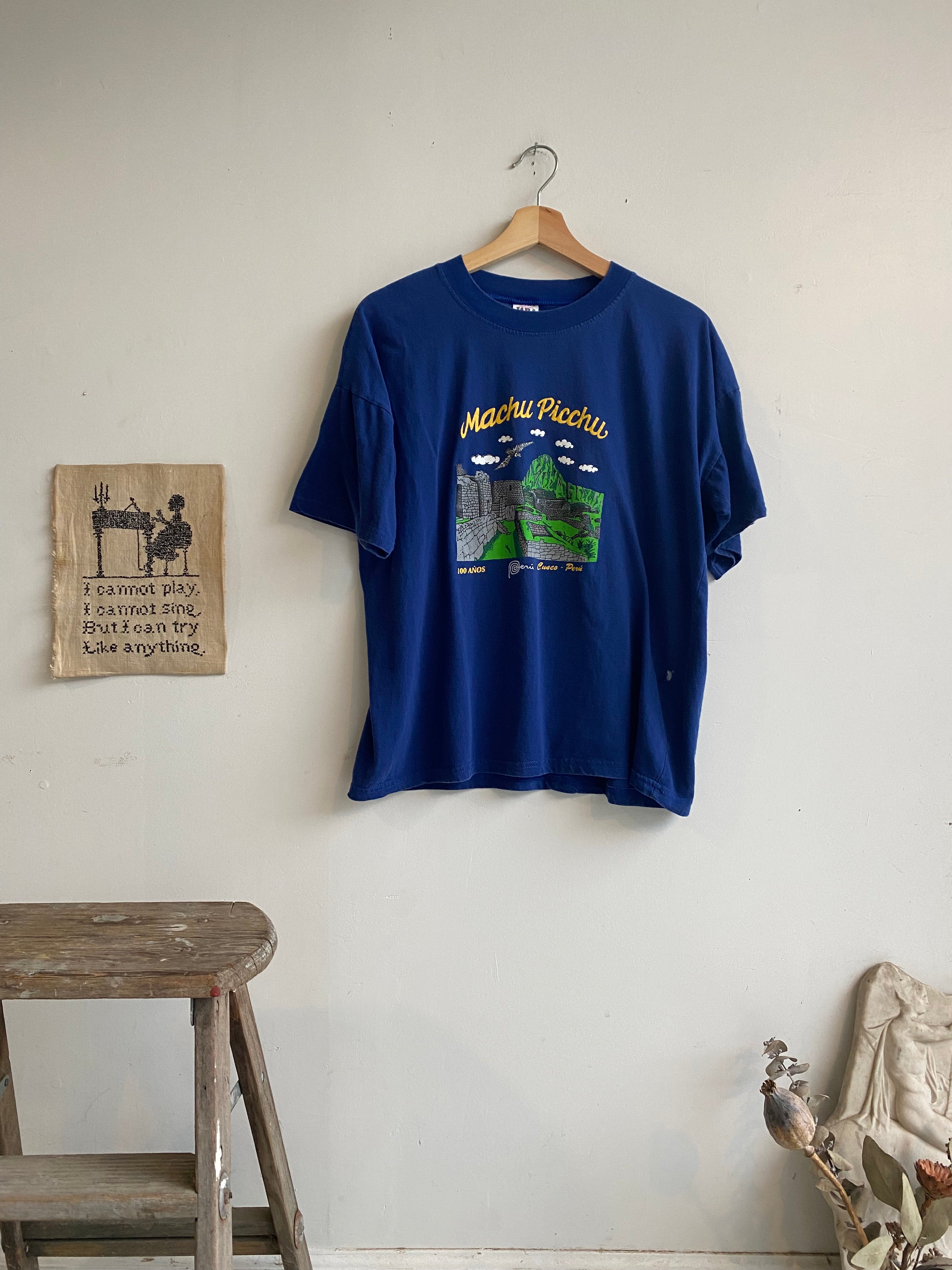 1990s Machu Picchu T-Shirt (Boxy L)