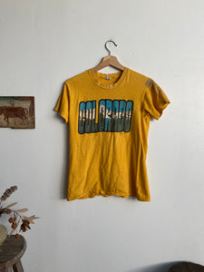 1970s Colorado T-Shirt (S)