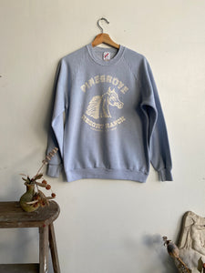 1980s Pinegrove Sweatshirt (S/M)