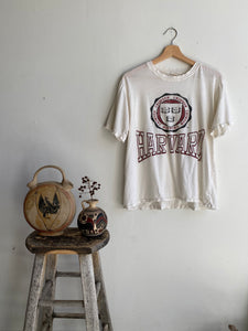 1980s Thrashed Harvard T-Shirt (Boxy M)